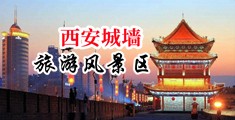 美女操屄视频免费下载中国陕西-西安城墙旅游风景区